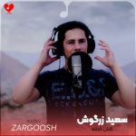 دانلود آهنگ کتان کتانه باوانم از سعید زرگوش تنها